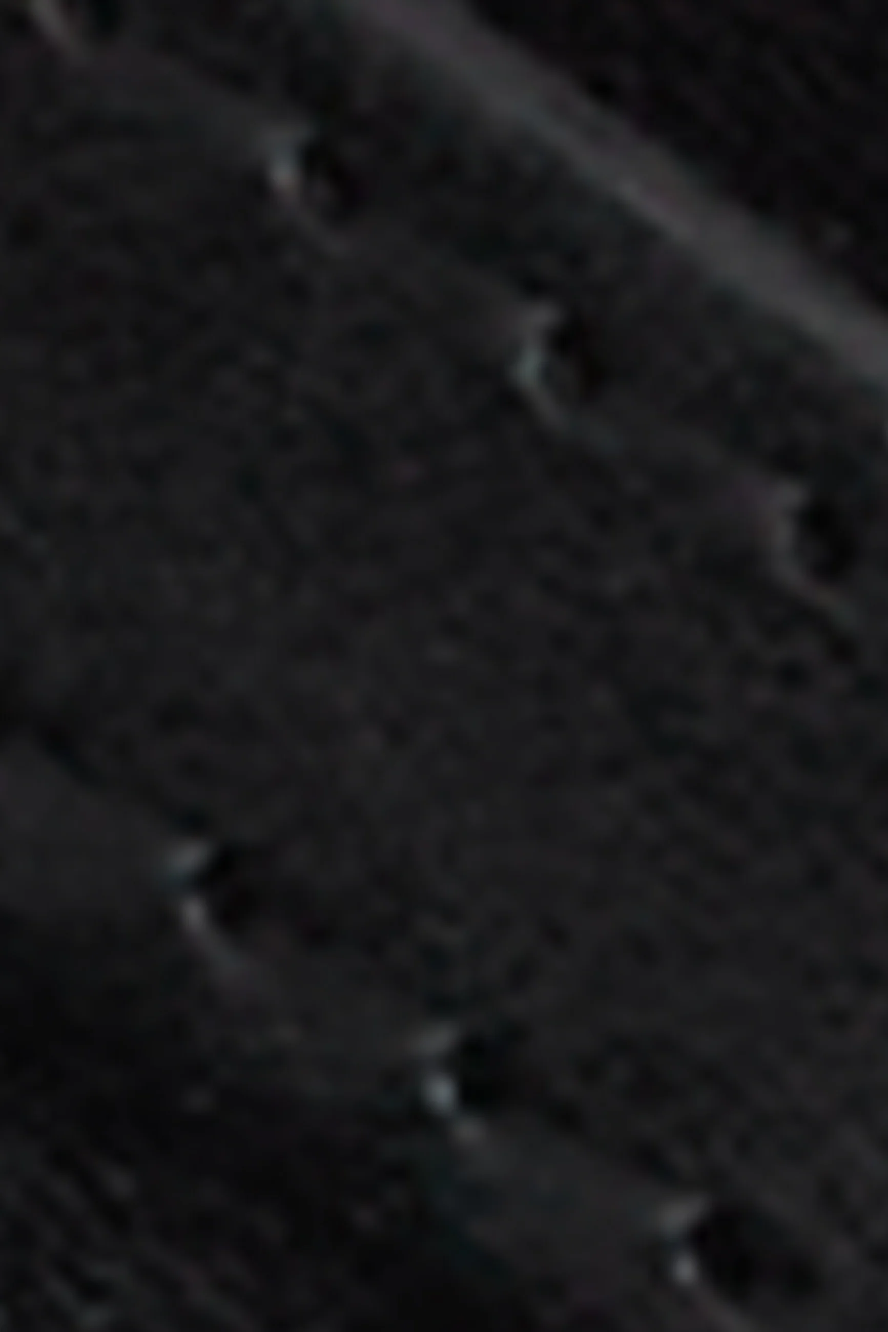 Fancy Belt - Image 3