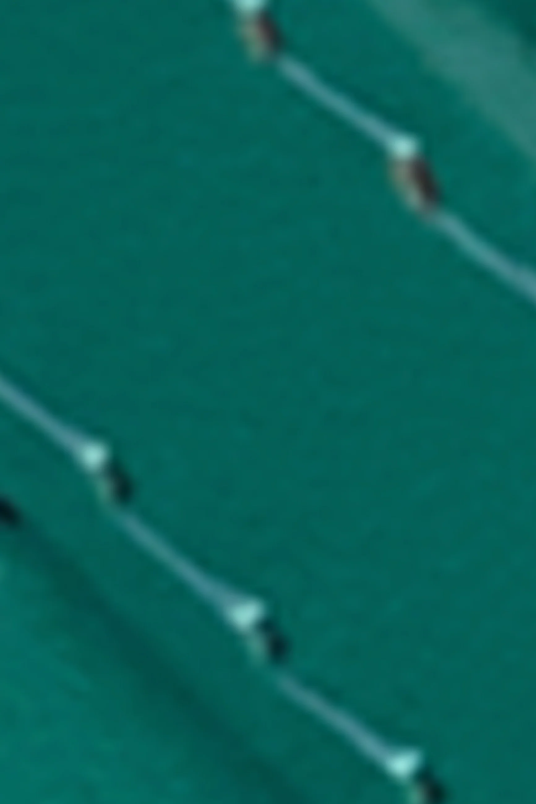 Fancy Belt - Image 3