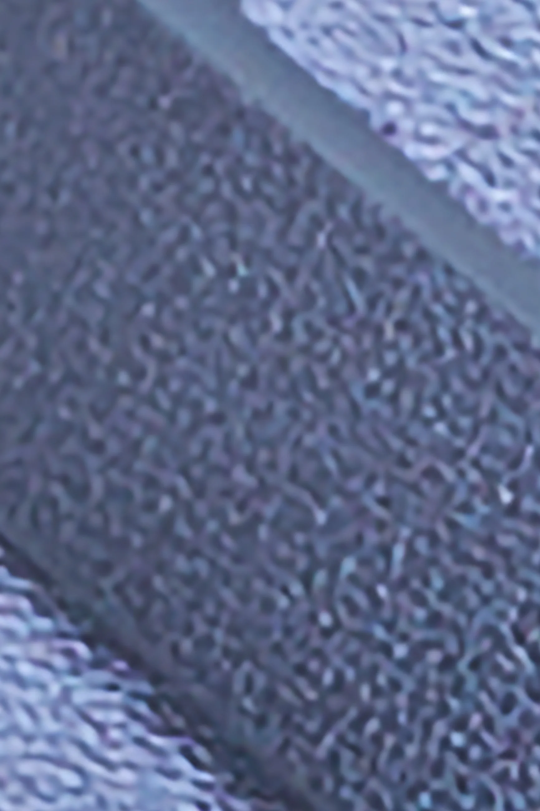 Shiny Belt - Image 4